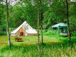 Secluded woodland glade with hot tub