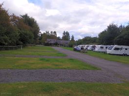 The site