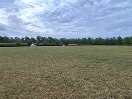 Field