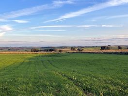 View from the top of the site