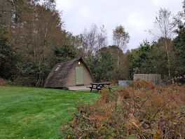 Nith wigwam