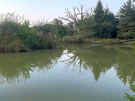The lake for the campers to fish in
