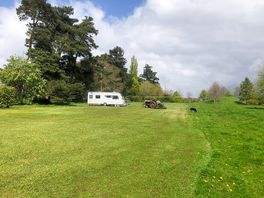 Camping field – regularly mown by vintage tractor