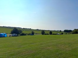 From the pitch