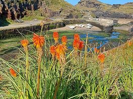 View into boscastle harbour