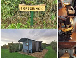 Peregrine shepherds hut