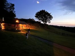 Picture of the moon