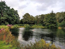 Beautiful swimming lake on-site.