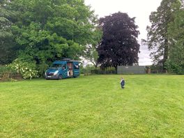 The site