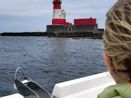 Farne islands trip