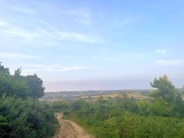 Walk