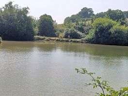 The lake