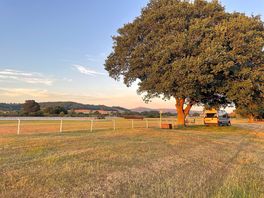 Nice pitch