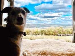 Enjoying the view!