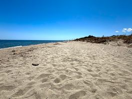 En plein mois de juillet, presque seul au monde sur une magnifique plage corse.