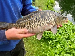 Probably biggest of the 2 days