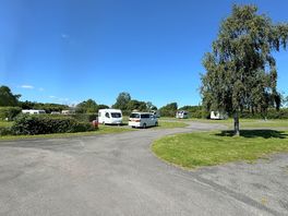 Our pitch and approach to adults only section