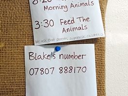 Interaction with animals