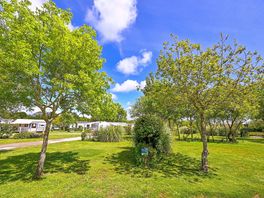 Partially shaded grass pitches
