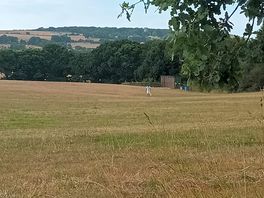 Spacious field