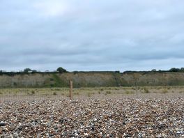 Beach view.