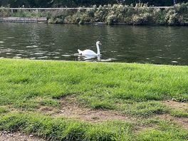 Walk on the canal 🚶♀️