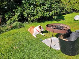 Fire pit for hire