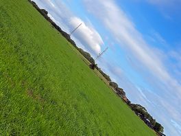 Field view