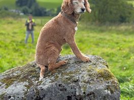 A visit to nearby standing by stones