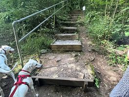 Steps to beach from the site