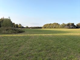 Horse field next to camp