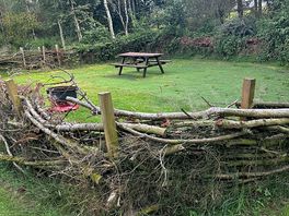 Nest pitch … all of this pitch is yours