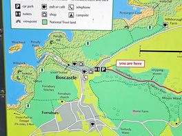 Lovely, scenic and foresty walk from campsite to boscastle