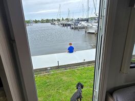 Dog friendly