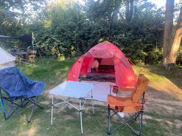 Grass comfort pitch with electric hook up.