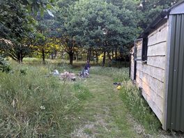 Herdwick hut