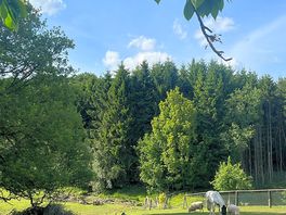 Farm