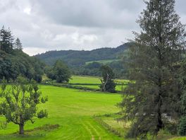 Walks at near by forest.