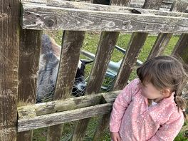 The animal feeding was by far the best part!
