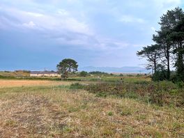 View from tent