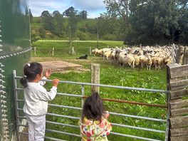Our daughter enjoying the farm