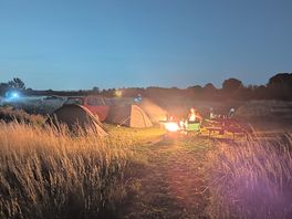 Gorgeous campfire glow for the early evening.