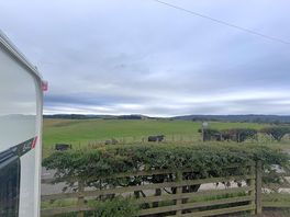 Loved the cows mooing at the gate