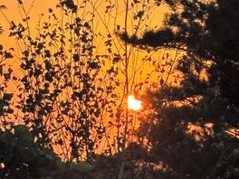 Beautiful sunset