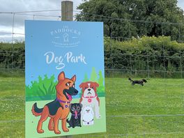 Secure dog area