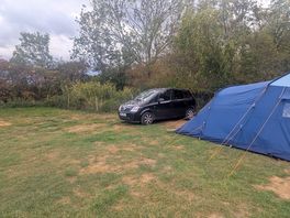 Site