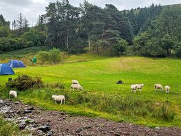 View of the streamside campsite