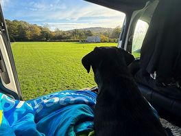 Looking back across campsite
