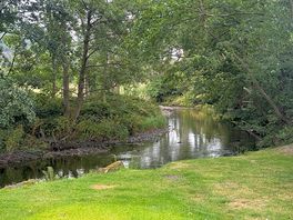 Looking downstream from the camping dell