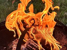 Campfire nights